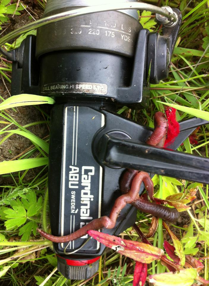 1043984_540063142726919_65808441_n