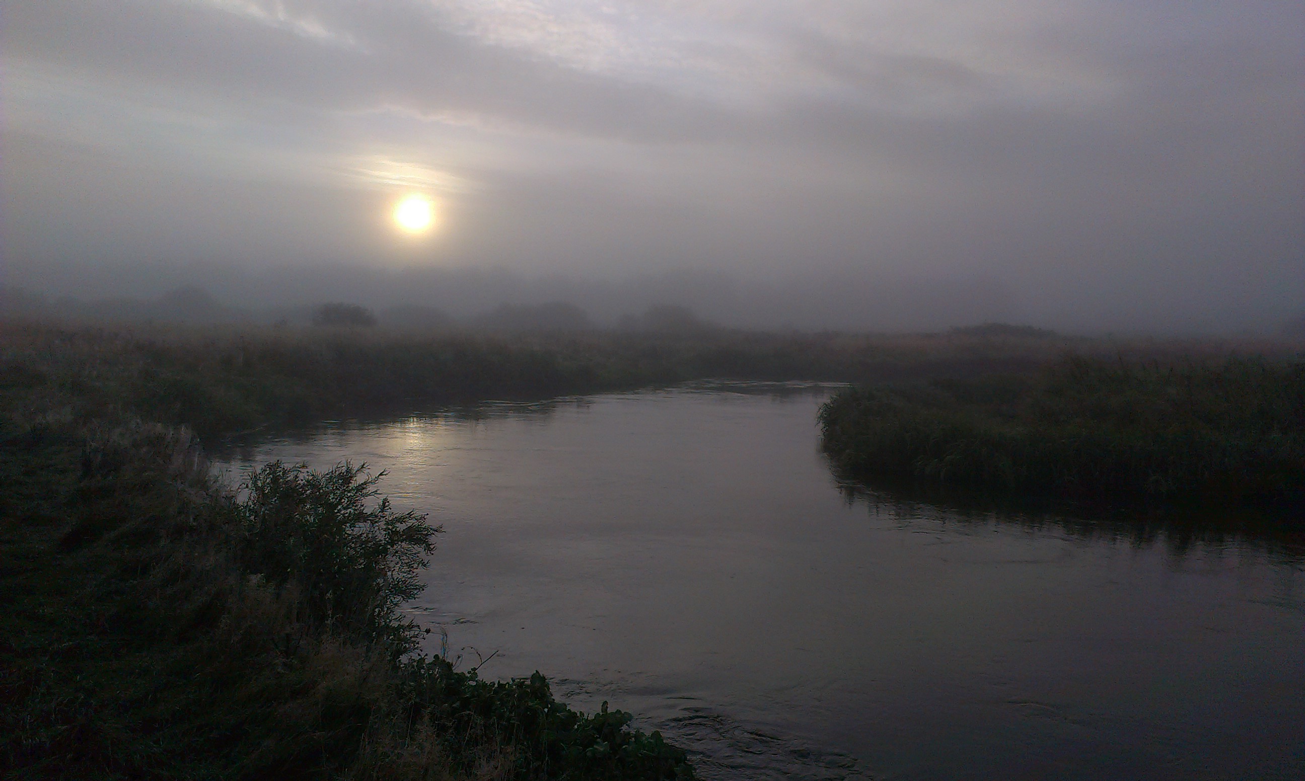 Grey beauty aug 2014 2